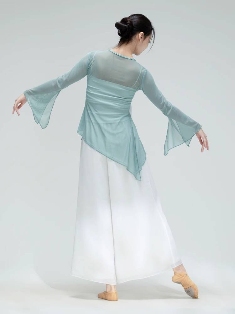 Classical dance clothing female elegant clothing performance clothes practice clothes, rhyme and clothing, kicker, Qingtong Qifeng
