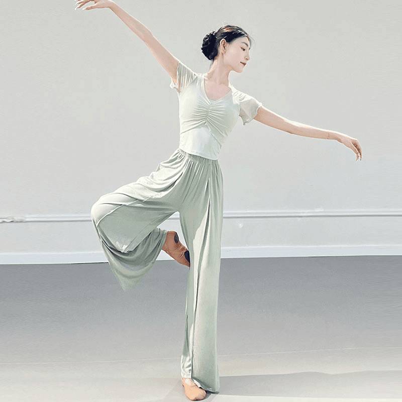 Classical dance clothing fake two pieces of Chinese dance exercises short -sleeved dance small flying sleeve top new shape training suit