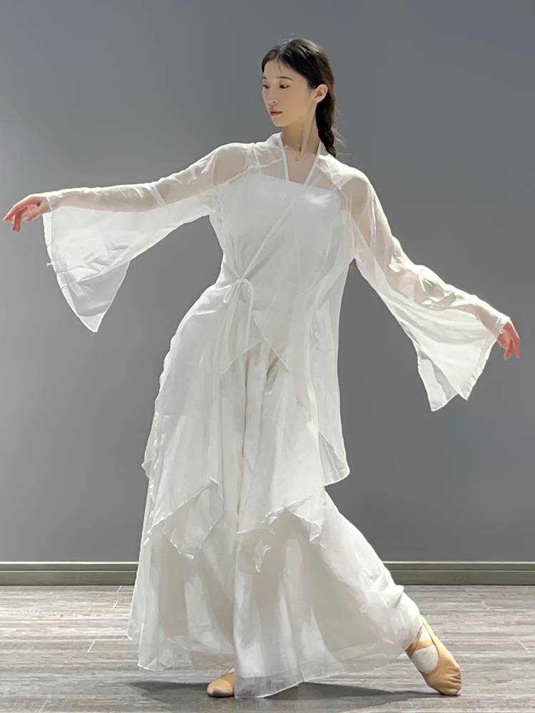 Classical dance clothing female split horn sleeve fairy qi elegant gauze training exercises modern dance Chinese dance performance clothing