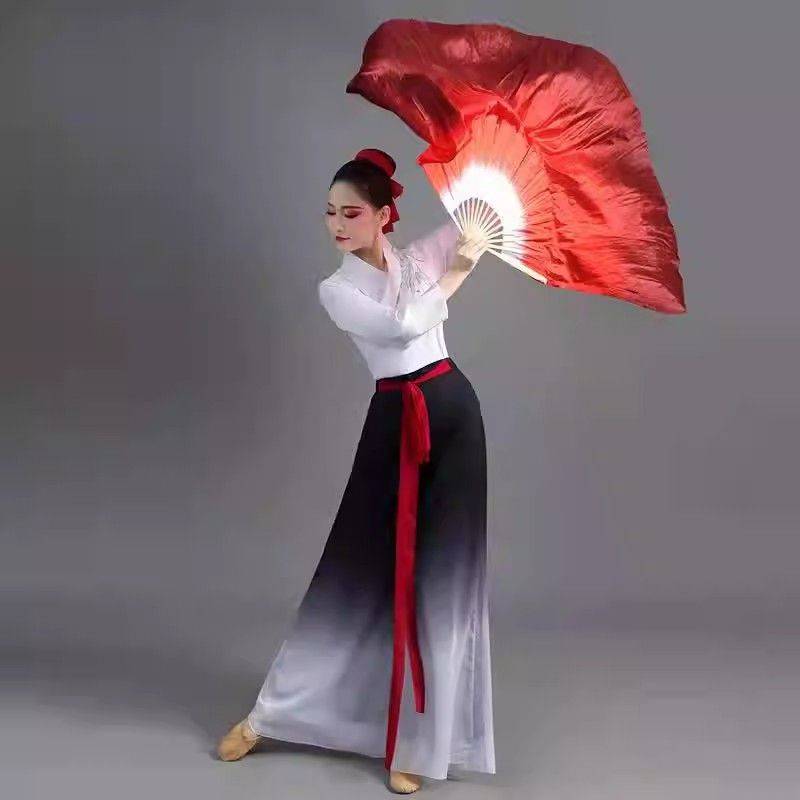 Rent Xiahui Same model Wanjiang Dance Performance Classical Dance Practice Female Adults Modern Dance Clothing