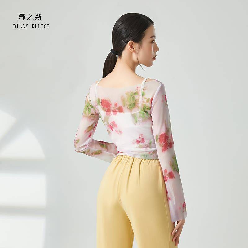 Classical dance gauze new clothing female elegant body rhyme performed immortal practice clothes autumn dance clothes Chinese dance