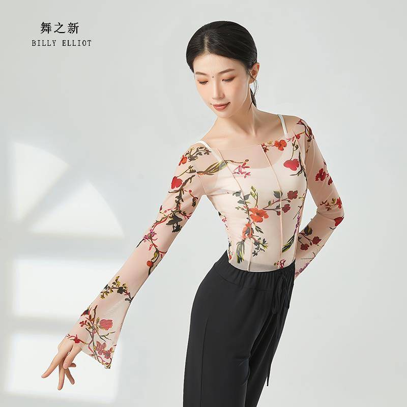 Classical dance gauze new clothing female elegant body rhyme performed immortal practice clothes autumn dance clothes Chinese dance
