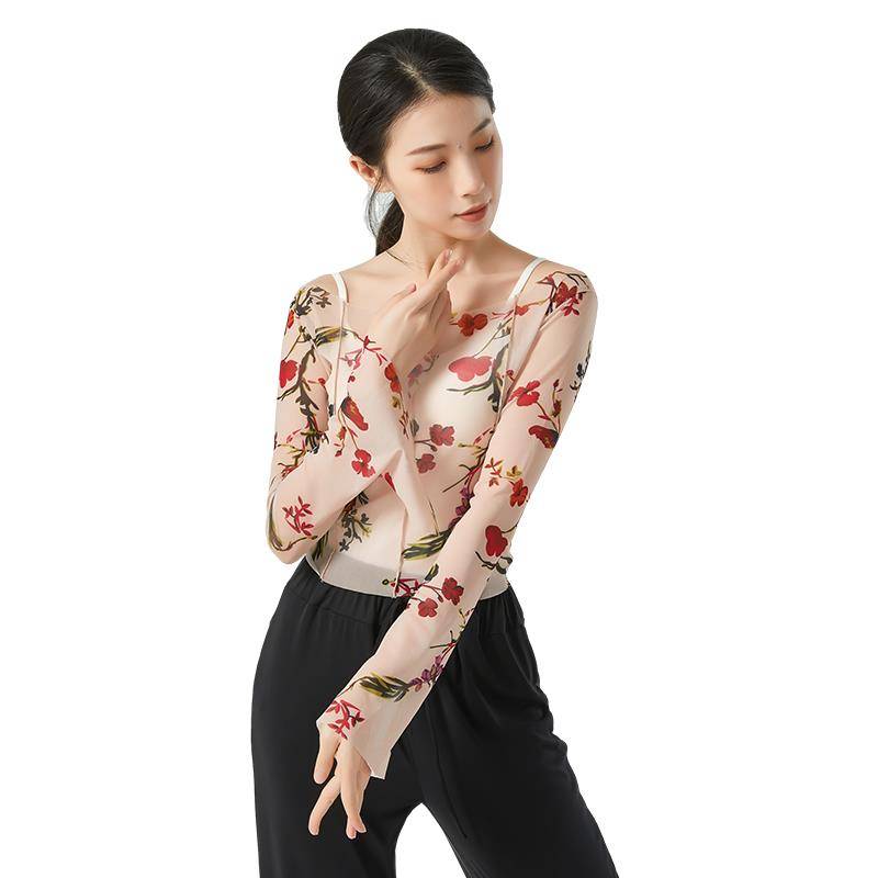 Classical dance gauze new clothing female elegant body rhyme performed immortal practice clothes autumn dance clothes Chinese dance