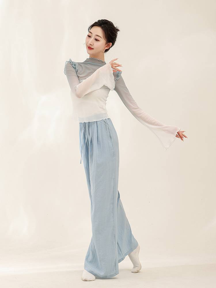 Chun Ruoji Classical Dance Butterfly Gradient Nets Long Sleeve Top Top Rhyme Modern Dance Form Performance Dance Practice Services