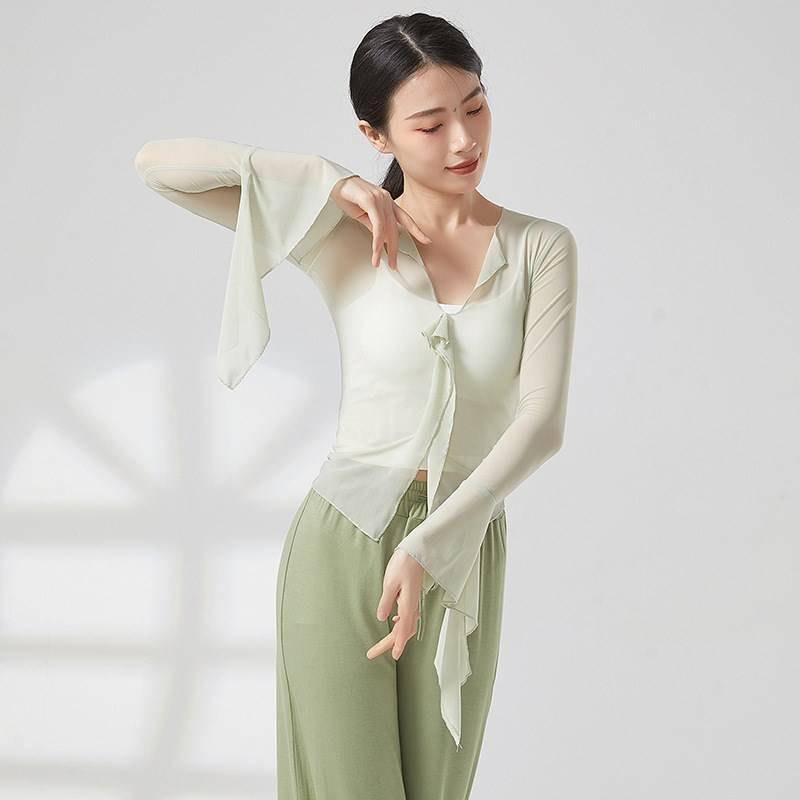 Classical Dance Dance Funny Dressing Dress Giney Survey Female Adult Chinese Dance Clothing Body Charm Founded Training Service Nets Dance Dress Dress