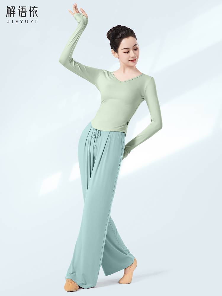 Practicing clothes Classical dance short -sleeved female Chinese dance dance clothing clothes, ancient style new dance clothing