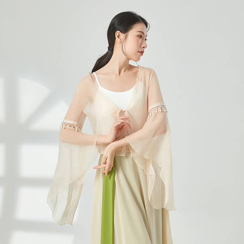 Classical dance dance clothing female gauze Chinese dance immortal pearl elegant top performance clothes practice clothing square dance