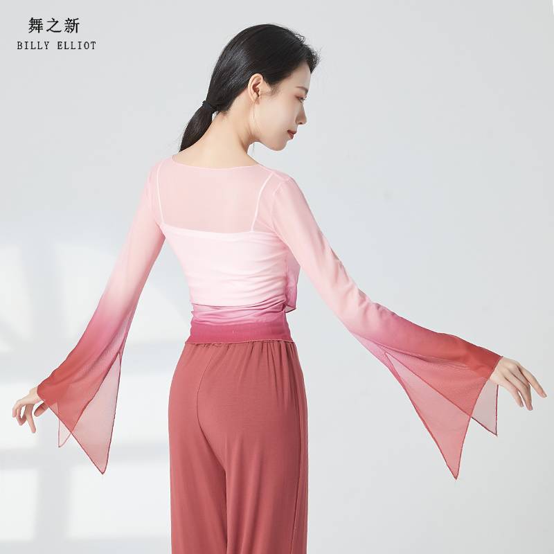 Classical dance gauze performance clothing female elegant fairy -qi, rhyme, female Chinese dance exercise, net gauze dance top