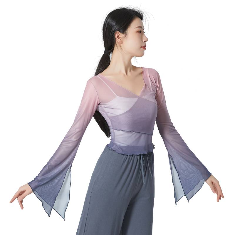 Classical dance gauze performance clothing female elegant fairy -qi, rhyme, female Chinese dance exercise, net gauze dance top