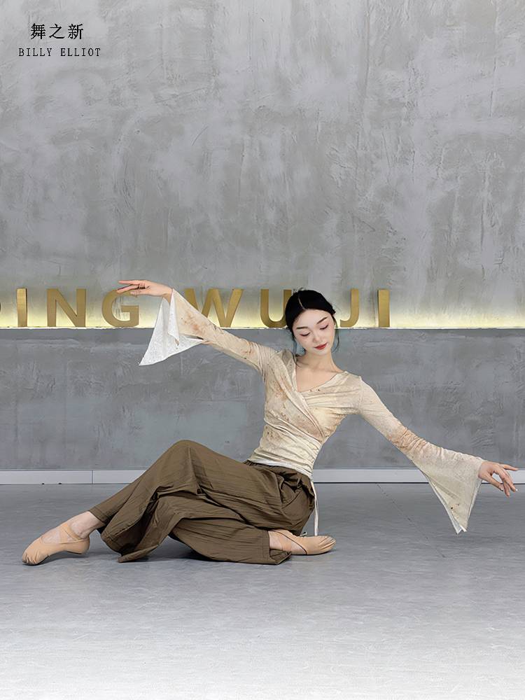 Classical dance gauze dance top women's performance suit, elegant immortal new adult rhyme Chinese dance exercise suit