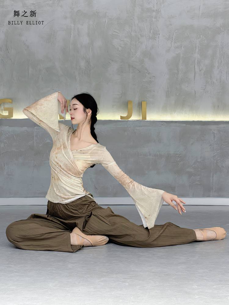 Classical dance gauze dance top women's performance suit, elegant immortal new adult rhyme Chinese dance exercise suit