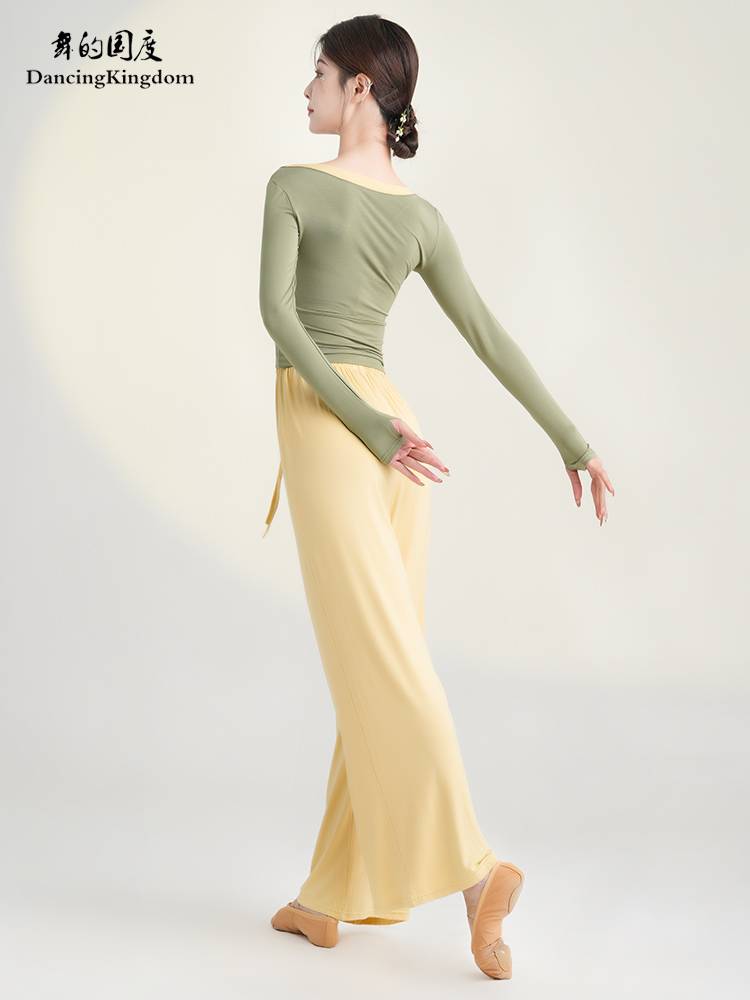 Classical dance clothing elegant female practice clothes, thin immortal shirt, body rhyme, adult Chinese dance national dance show