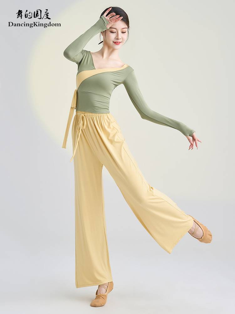 Classical dance clothing elegant female practice clothes, thin immortal shirt, body rhyme, adult Chinese dance national dance show