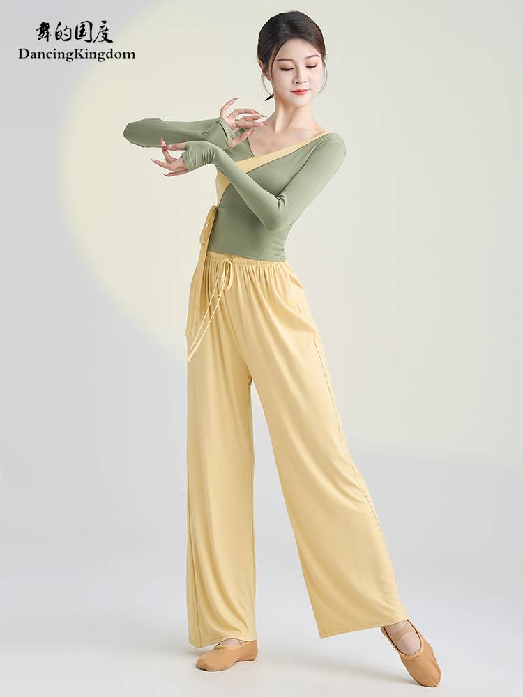Classical dance clothing elegant female practice clothes, thin immortal shirt, body rhyme, adult Chinese dance national dance show