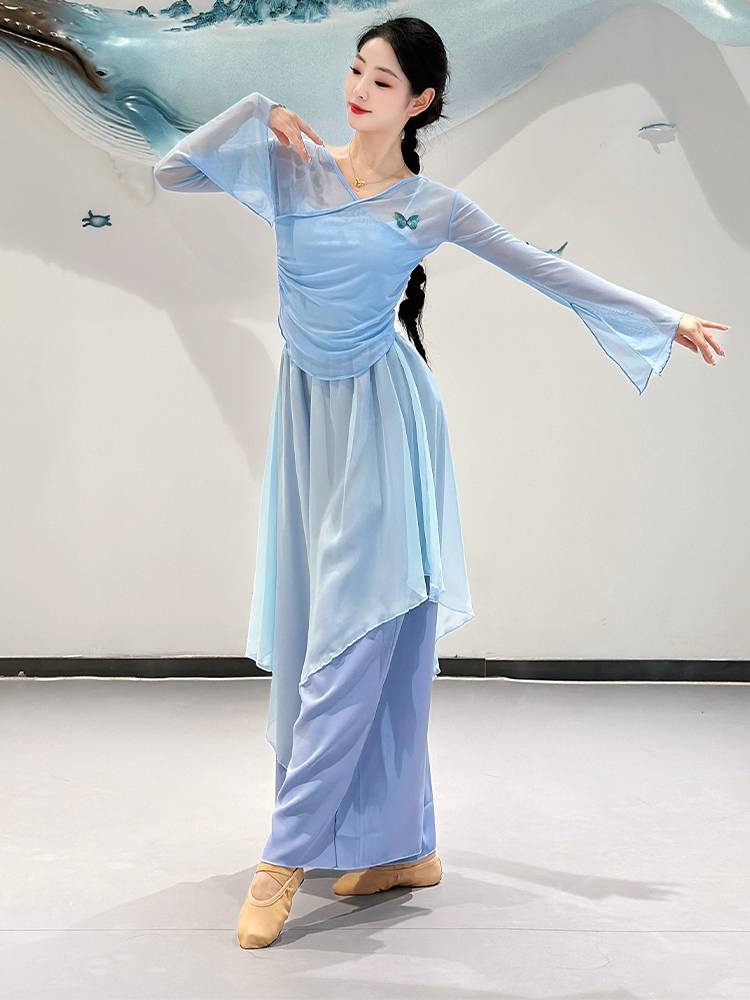 Classical dance clothing female elegant body rhyme gauze skirt skirt skirt jumpsuit Chinese dance base training uniform suit