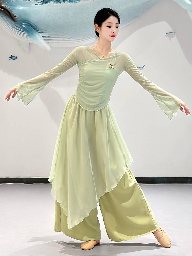 Classical dance clothing female elegant body rhyme gauze skirt skirt skirt jumpsuit Chinese dance base training uniform suit