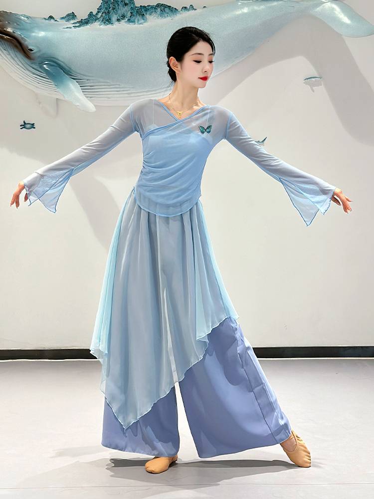 Classical dance clothing female elegant body rhyme gauze skirt skirt skirt jumpsuit Chinese dance base training uniform suit