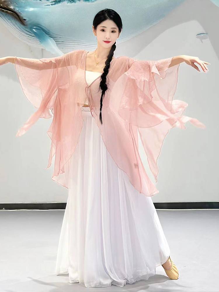 New classical dance gauze clothes wearing elegant female Chinese dance dance clothes