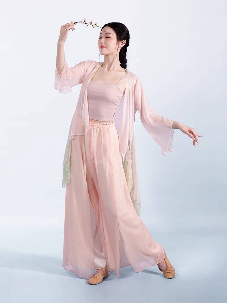 Classical dance clothing female elegant set of Han clothing clothes jacket Chinese dance immortal gum dance dance performance service