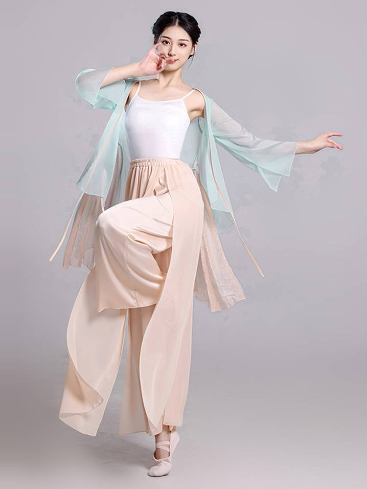 Classical gauze dance training skills daily elegant art test chiffon female fairy gas cheap Chinese style performance clothing