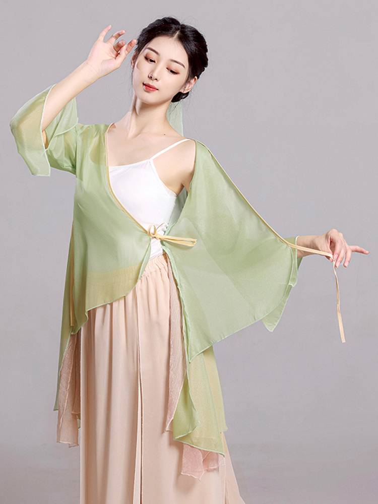Classical gauze dance training skills daily elegant art test chiffon female fairy gas cheap Chinese style performance clothing