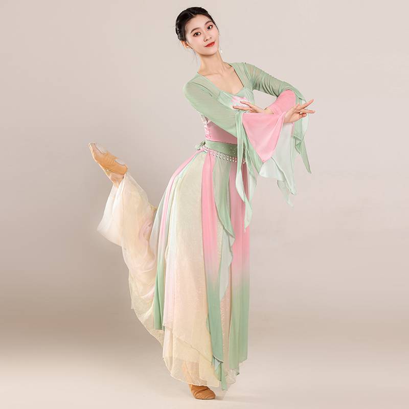 Classical dance clothing female elegant gauze Chinese dance exercise, female bodies, rhyme chiffon tops perform ancient style