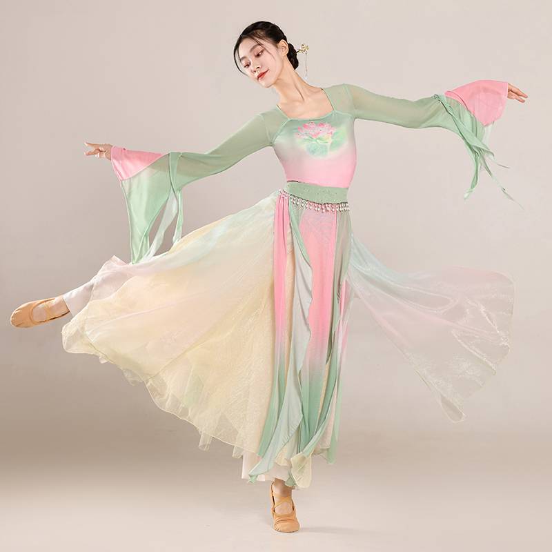 Classical dance clothing female elegant gauze Chinese dance exercise, female bodies, rhyme chiffon tops perform ancient style