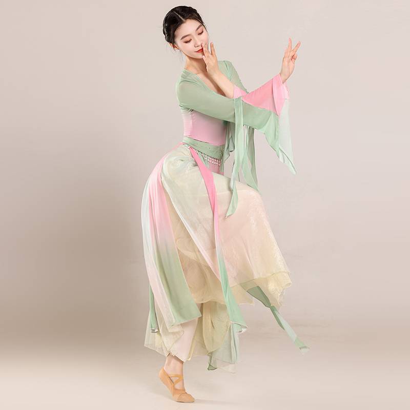 Classical dance clothing female elegant gauze Chinese dance exercise, female bodies, rhyme chiffon tops perform ancient style