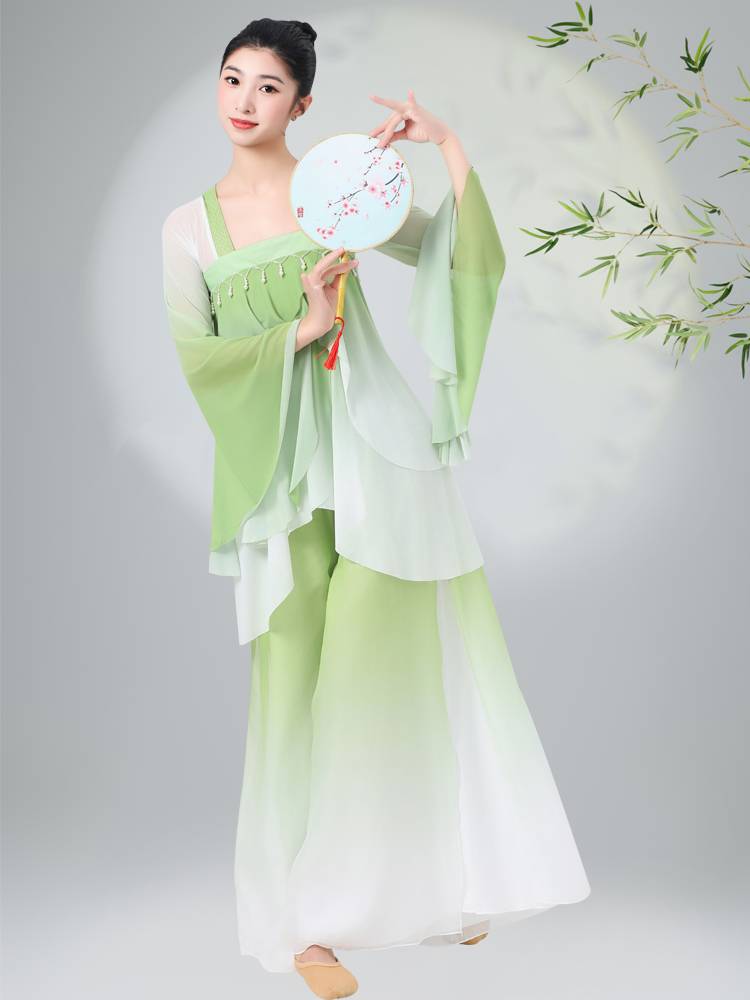 The new female adult classical dancer dancer dance dance clothing, the gradient gauze Chinese style set is like a dream order