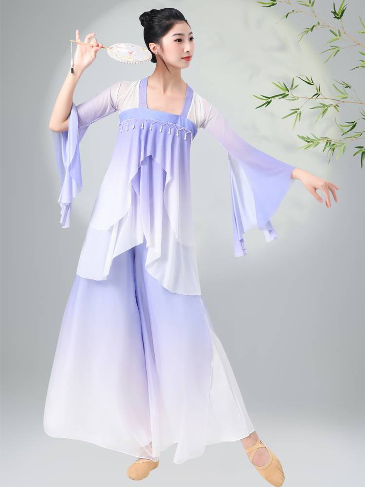 The new female adult classical dancer dancer dance dance clothing, the gradient gauze Chinese style set is like a dream order