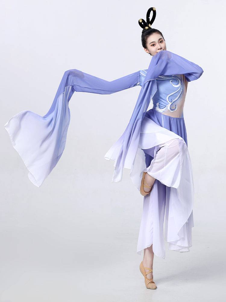 Ripple Ruo Shui Performs the same model, the female adult classical dance, elegant Chinese Feng Shui sleeve art test dance group dance