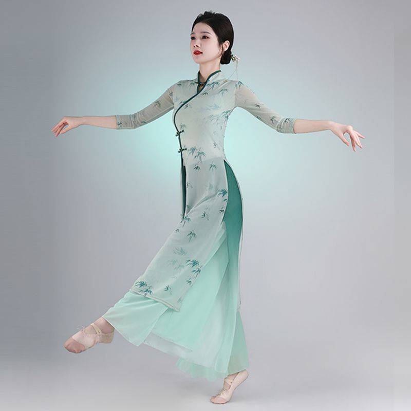 Classical dance cheongsam dance 2024 new body rhyme yae -coat practice service adult female dance suit performance suit