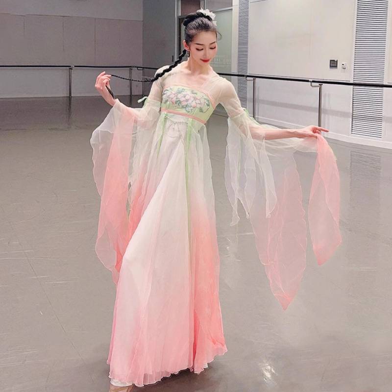 Classical Dance Performance Discipline Female 2024 New Big Skirt Classical Dance Classical Dance
