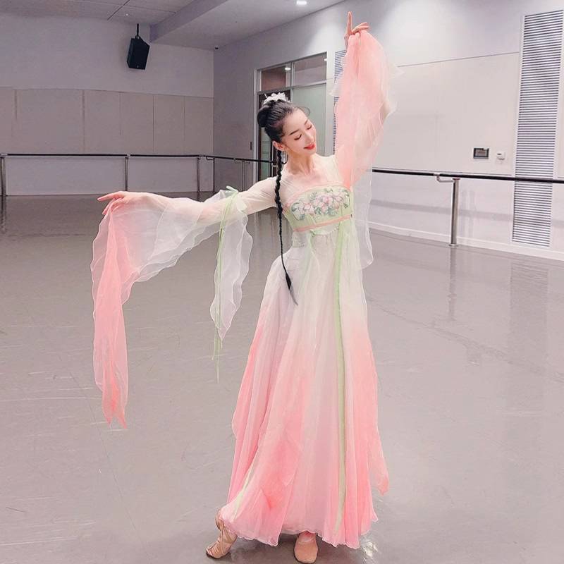 Classical Dance Performance Discipline Female 2024 New Big Skirt Classical Dance Classical Dance