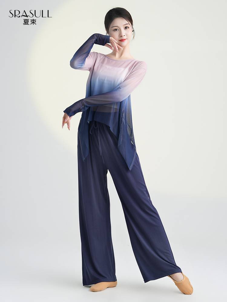 Modern Dance Gradm Practice Female Female Permanent Giney Dance Chinese Dance Clothing Classical Dance Classical Dance Slim Sleeve Spring and Summer