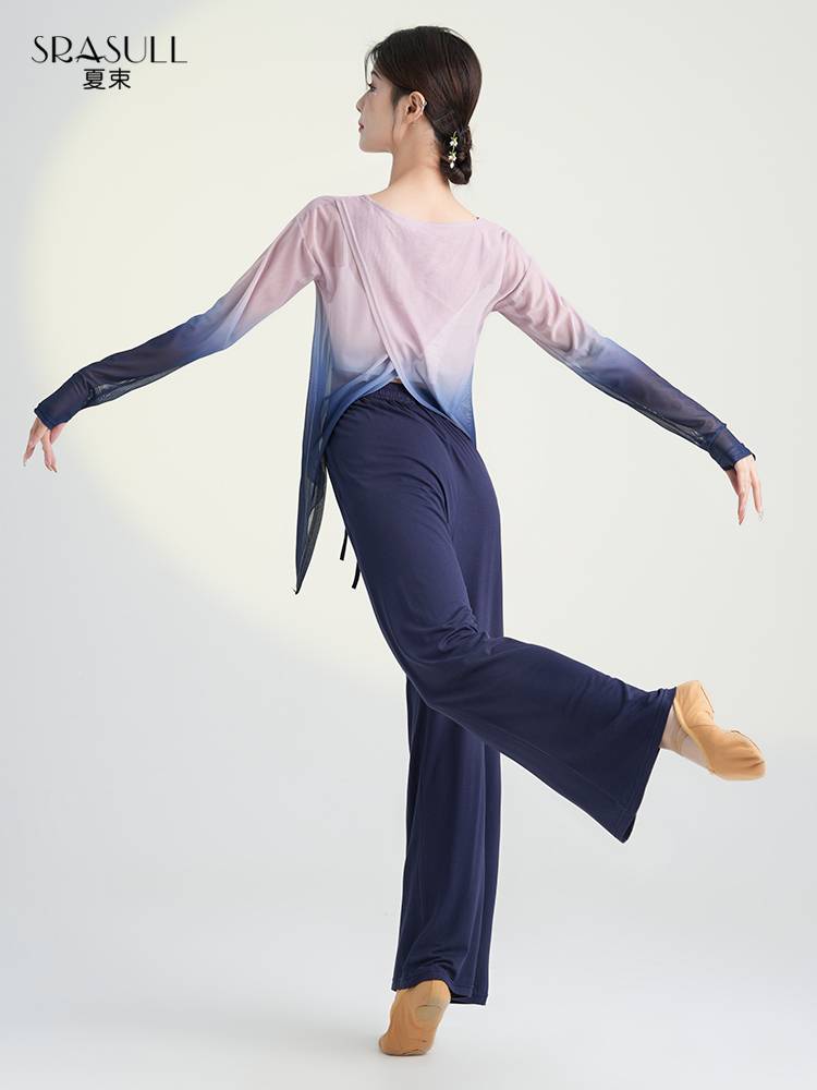 Modern Dance Gradm Practice Female Female Permanent Giney Dance Chinese Dance Clothing Classical Dance Classical Dance Slim Sleeve Spring and Summer