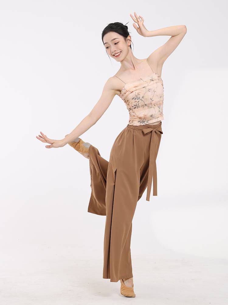 Fuxi Classical Dance Dance Dressing Dressing Service Dress in the bottom of the bottom, print the printing suspended vest vest, net yarn dance clothing
