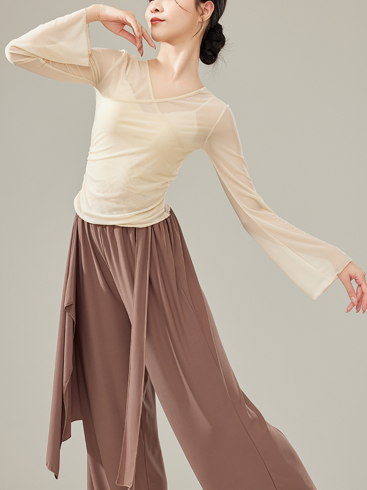 Spring new classical dancer adult gauze, elegant body rhyme, gathered gauze training performance dance practice service
