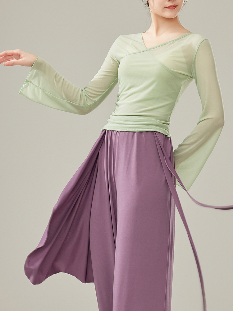 Spring new classical dancer adult gauze, elegant body rhyme, gathered gauze training performance dance practice service