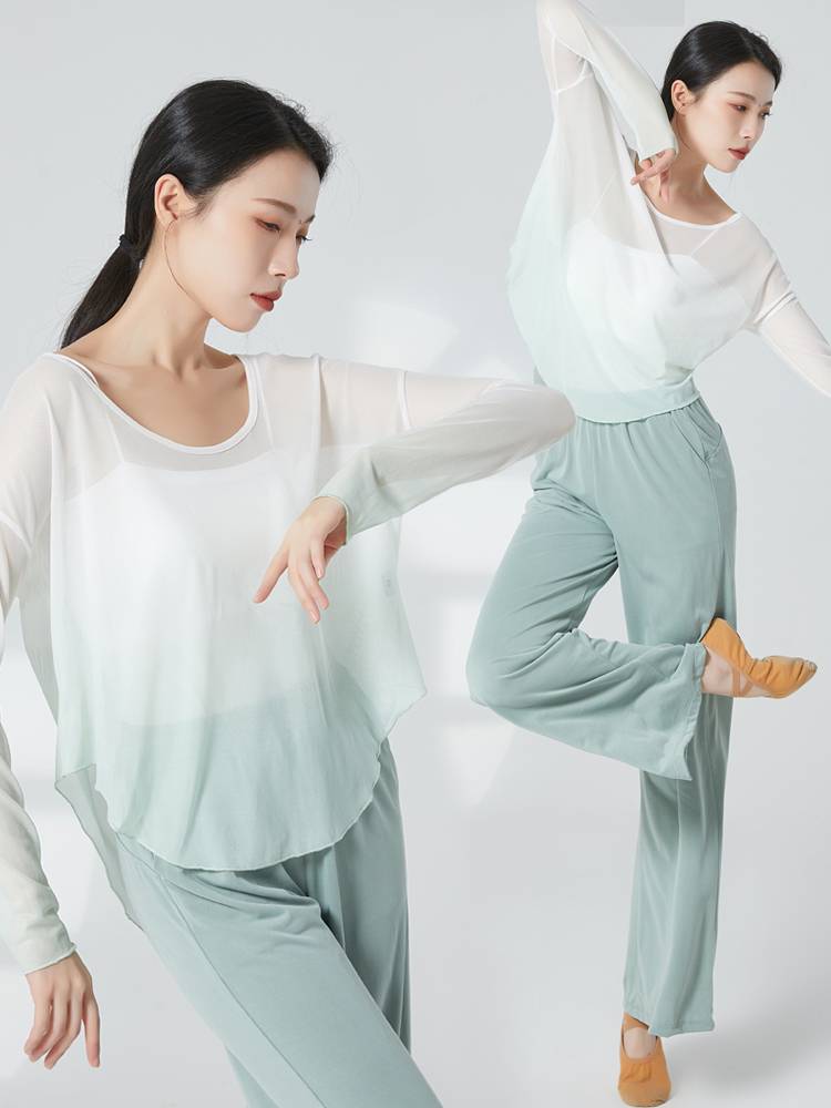 Dance clothes Classical dance exercise service women's clothing clothes wide -leg pants set Chinese dance clothing modern dance gauze clothes