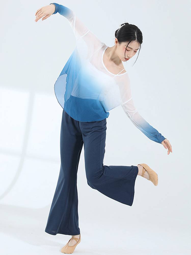 Dance clothes Classical dance exercise service women's clothing clothes wide -leg pants set Chinese dance clothing modern dance gauze clothes