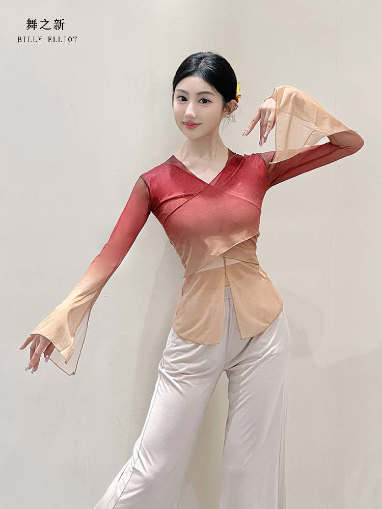 Classical dance gauze Chinese dance exercise adult body suit performance service girl elegant 2024 new dance top