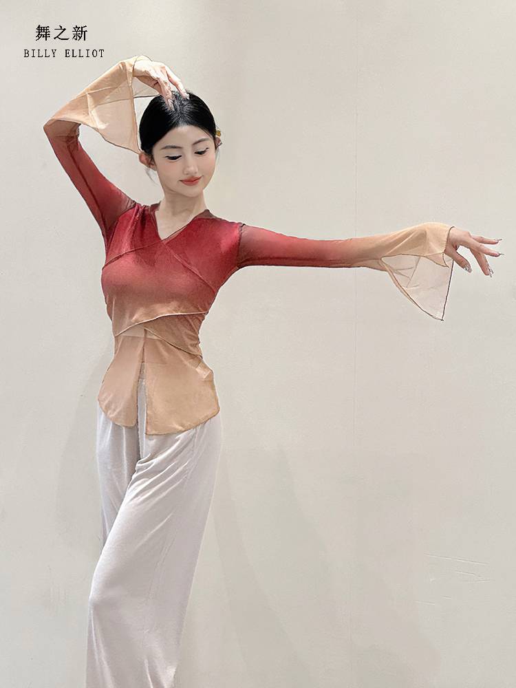 Classical dance gauze Chinese dance exercise adult body suit performance service girl elegant 2024 new dance top
