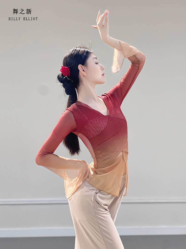 Classical dance gauze Chinese dance exercise adult body suit performance service girl elegant 2024 new dance top