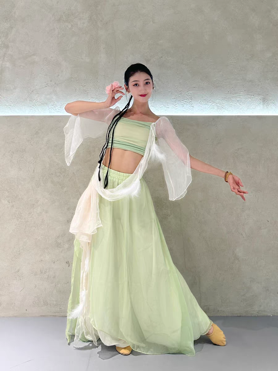 Adult classical dance feathers elegant gauze dance performance service Chinese dance color feathers gradient skirt performance service