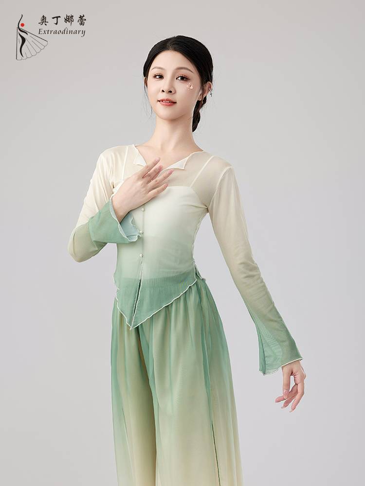 Classical dance yarn dance dance body rhyme, exercise suit, net gauze top, elegant female modern dance gradient art test clothing