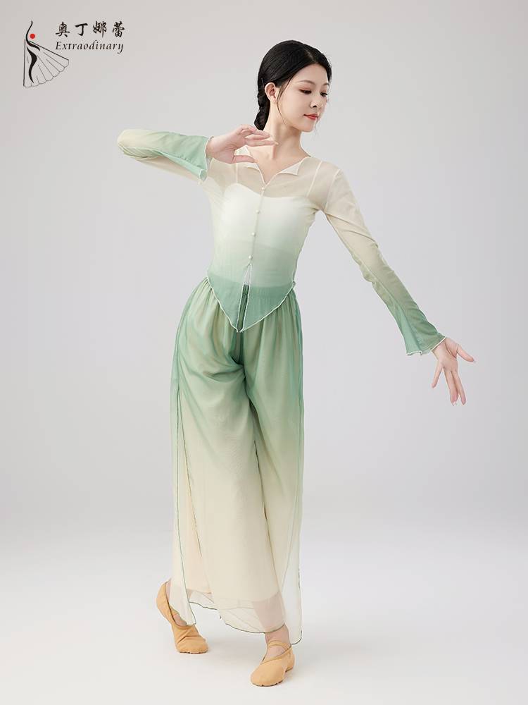 Classical dance yarn dance dance body rhyme, exercise suit, net gauze top, elegant female modern dance gradient art test clothing