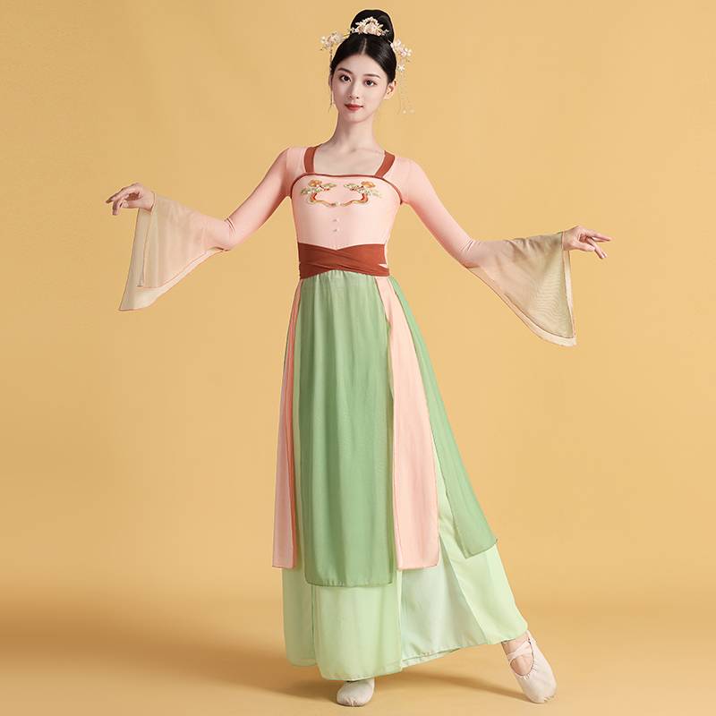 Classical dance clothing female elegant Han Tangfeng long body rhyme gauze Chinese dance exercise national dance watch performance