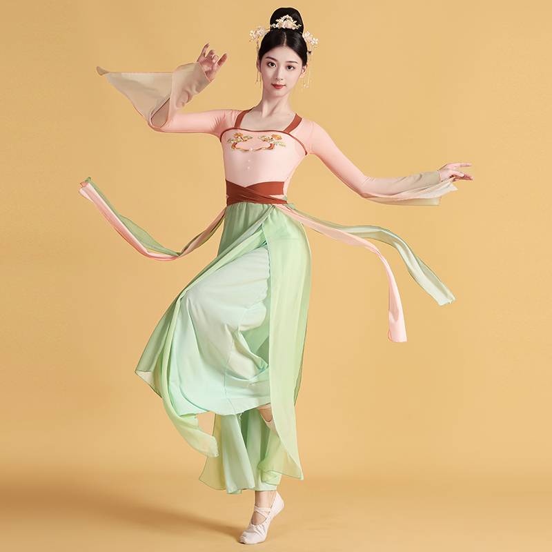 Classical dance clothing female elegant Han Tangfeng long body rhyme gauze Chinese dance exercise national dance watch performance