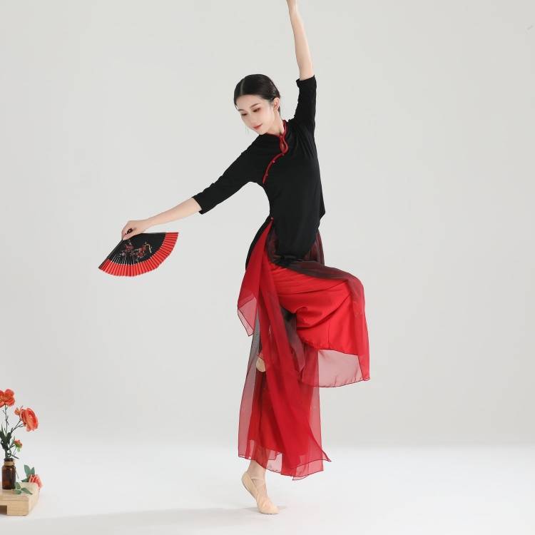 Hyun Dance Yi Chinese Classical Dance Clothing Female Chariarism Practice Adult Far Sleeping Sleeping Jacket Practice Pants